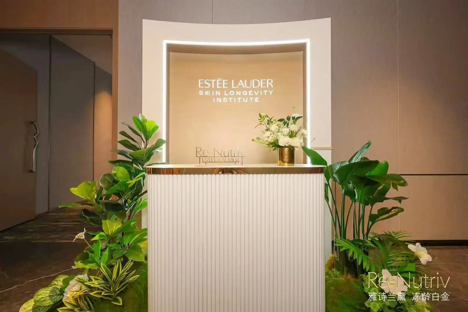 �����ʹ���(463cc) - �ٷ���վ