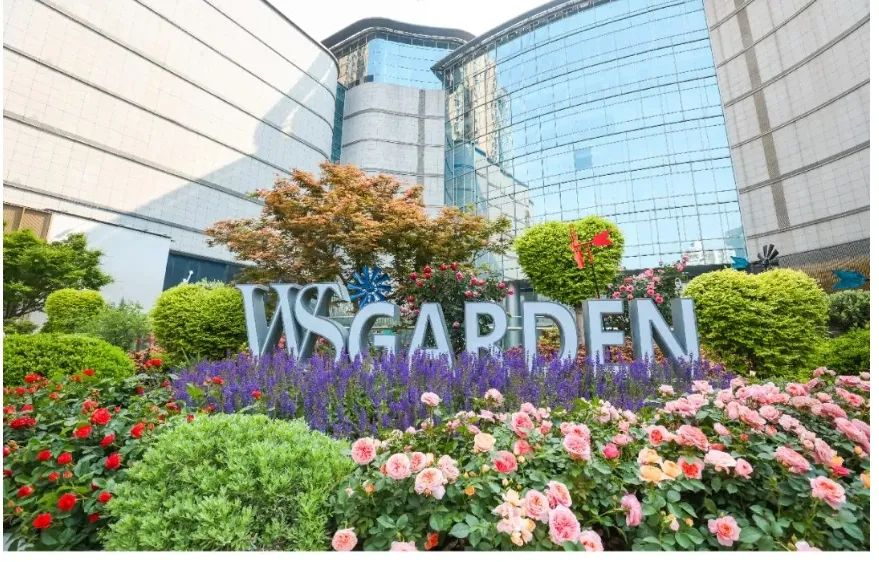 �����ʹ���(463cc) - �ٷ���վ