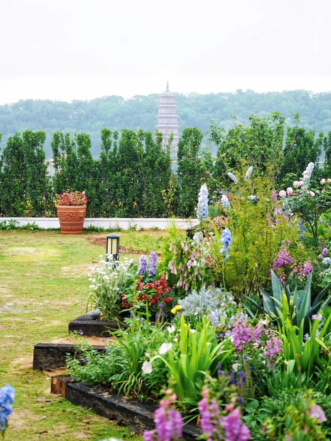 �����ʹ���(463cc) - �ٷ���վ