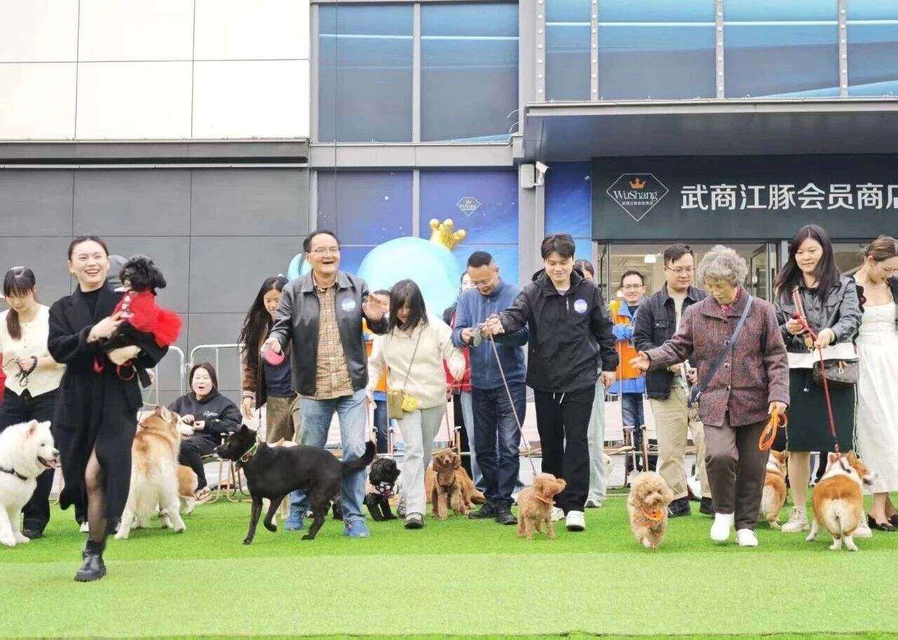 �����ʹ���(463cc) - �ٷ���վ