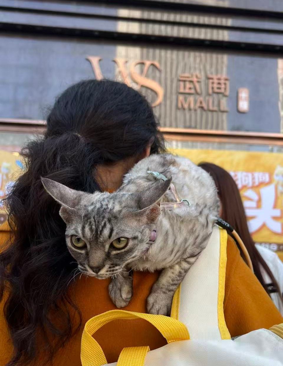 �����ʹ���(463cc) - �ٷ���վ