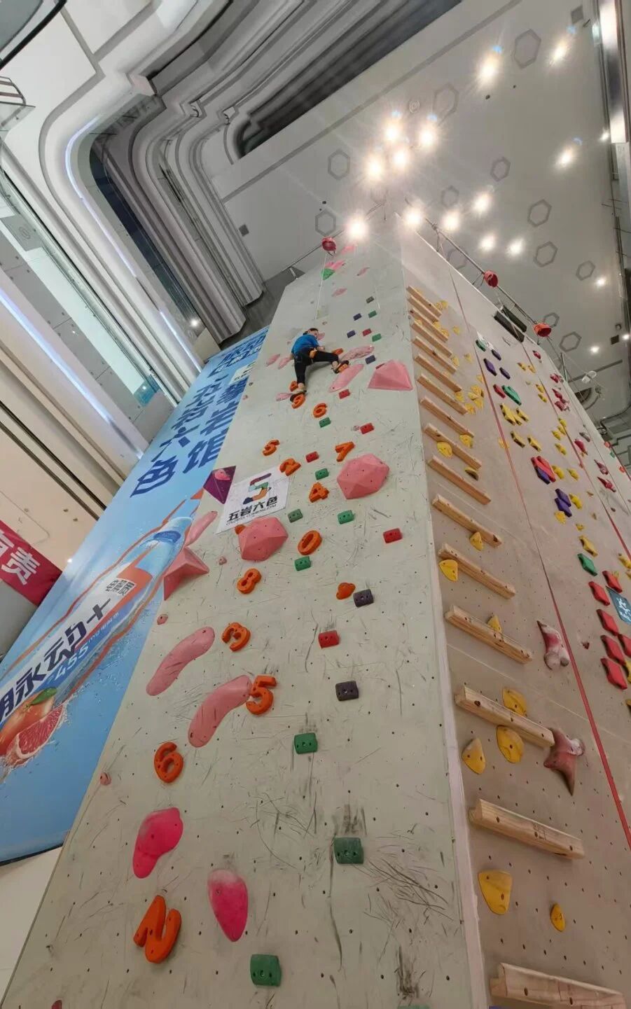 �����ʹ���(463cc) - �ٷ���վ
